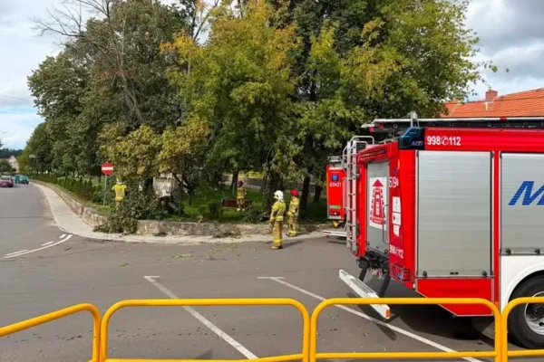 Drzewo na drodze w Wilkowie – interwencja strażaków