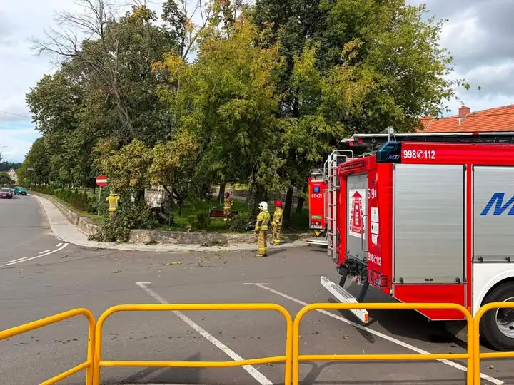 Drzewo na drodze w Wilkowie – interwencja strażaków