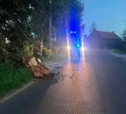 Drzewo nad drogą w Tarnowcu – interwencja strażaków
