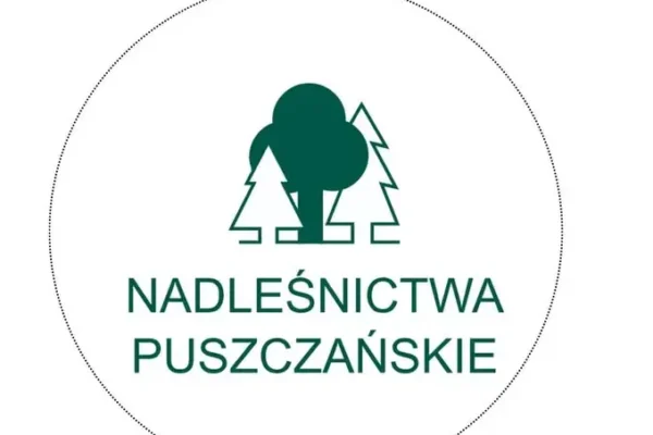 Leśne tajemnice odkryte z laureatami konkursu plastycznego w Nadleśnictwie Żmigród
