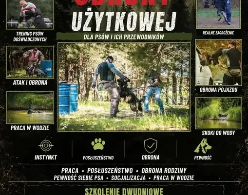 Szkolenie psów obronnych w Woodspot Dog Space – 17-18 października