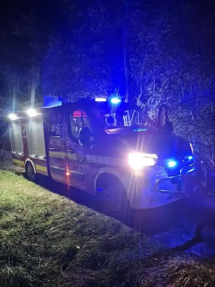 Pożar drzewa w Starym Żmigrodzie – akcja OSP KSRG Łysa Góra